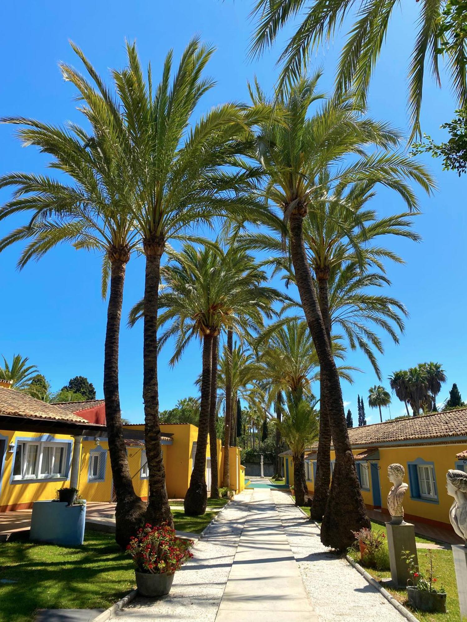 Cortijo La Saleta Banus Lägenhet Marbella Exteriör bild