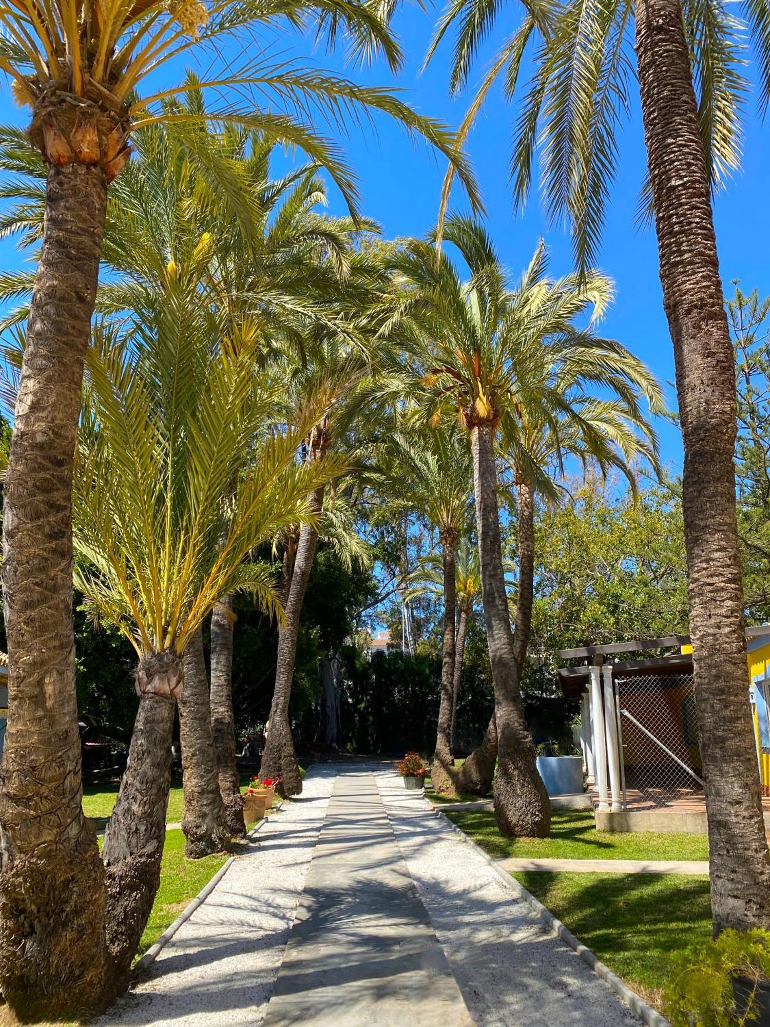 Cortijo La Saleta Banus Lägenhet Marbella Exteriör bild